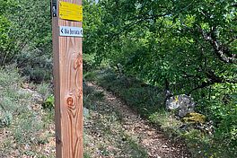 Agrandir l'image (fenêtre modale)